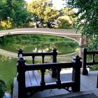 Central Park NY early morning Bow Bridge