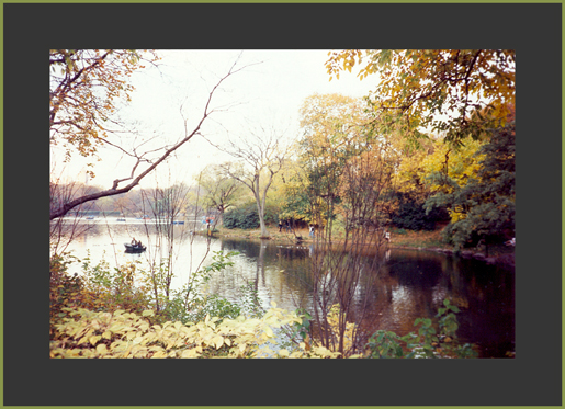 Central Park, NY