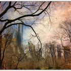 Central Park NY mal anders