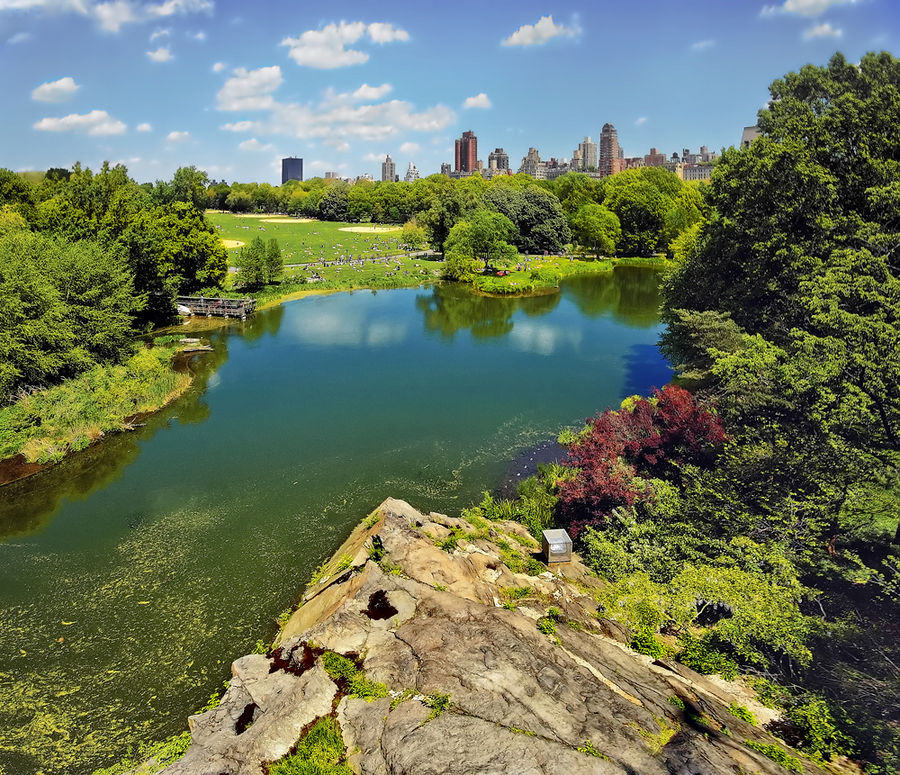 Central Park, NY: The Turtle Lake