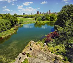 Central Park, NY: The Turtle Lake