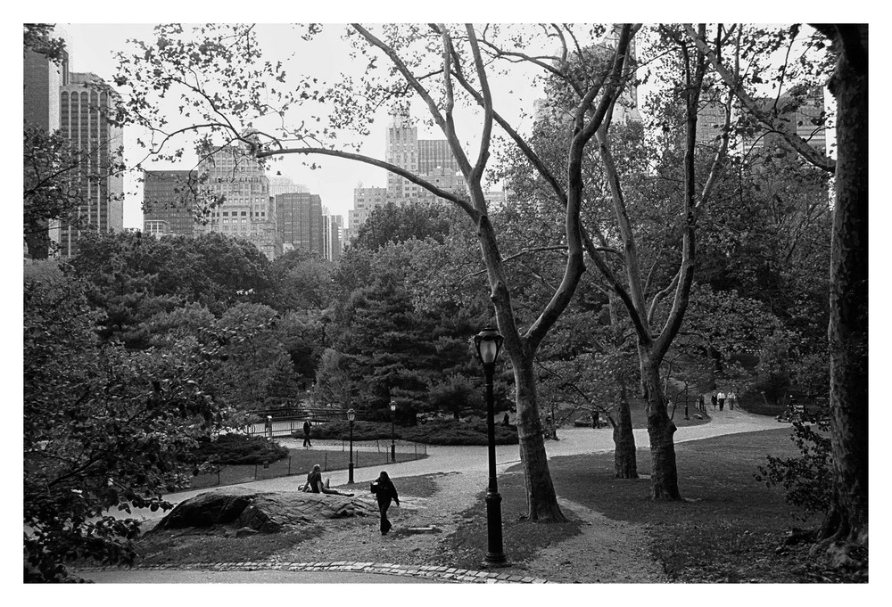 Central Park, NYC 08#2