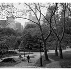 Central Park, NYC 08#2