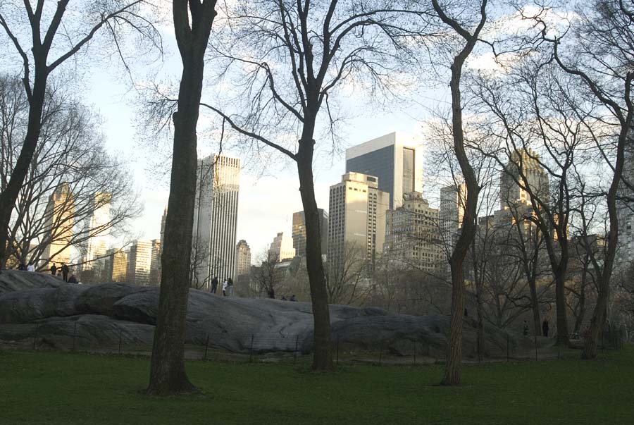 CENTRAL PARK - NYC 4