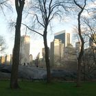 CENTRAL PARK - NYC 4