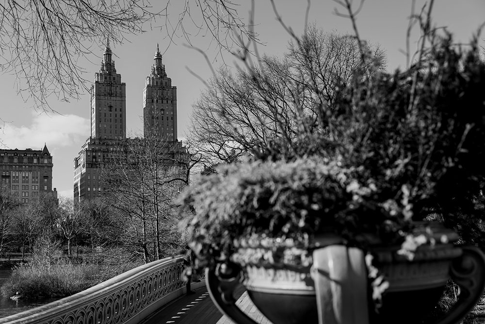 Central Park NYC