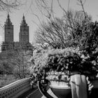 Central Park NYC