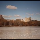 Central Park NYC