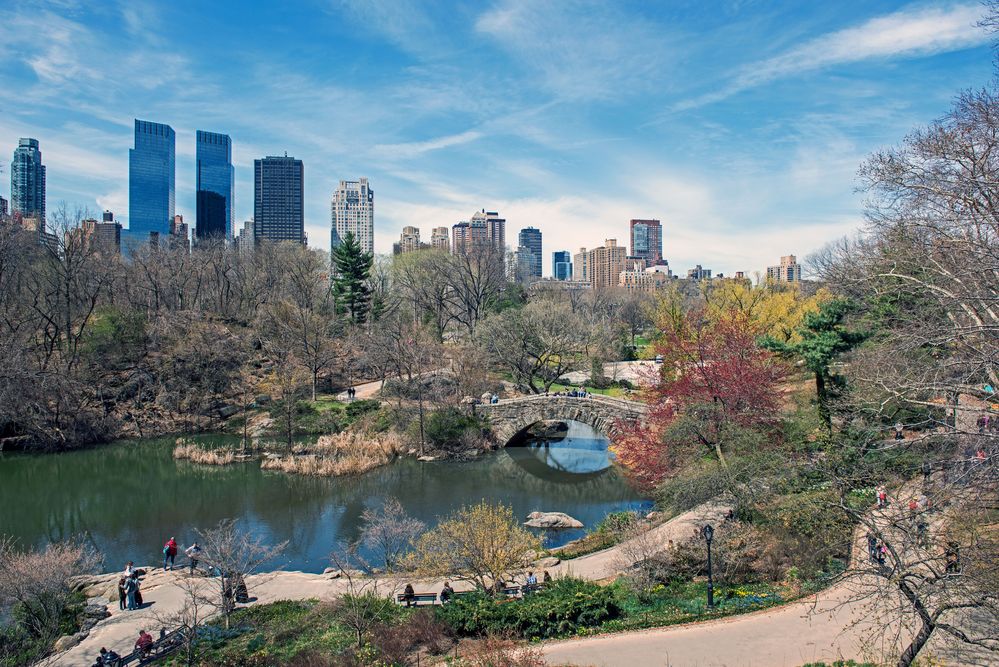 Central Park NYC