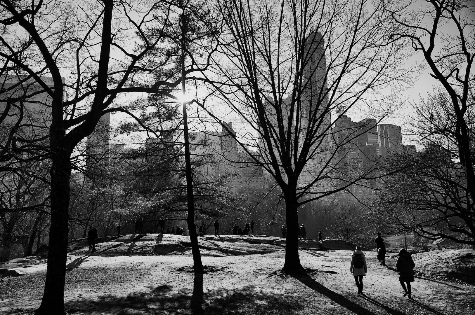 Central Park NYC