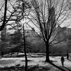 Central Park NYC