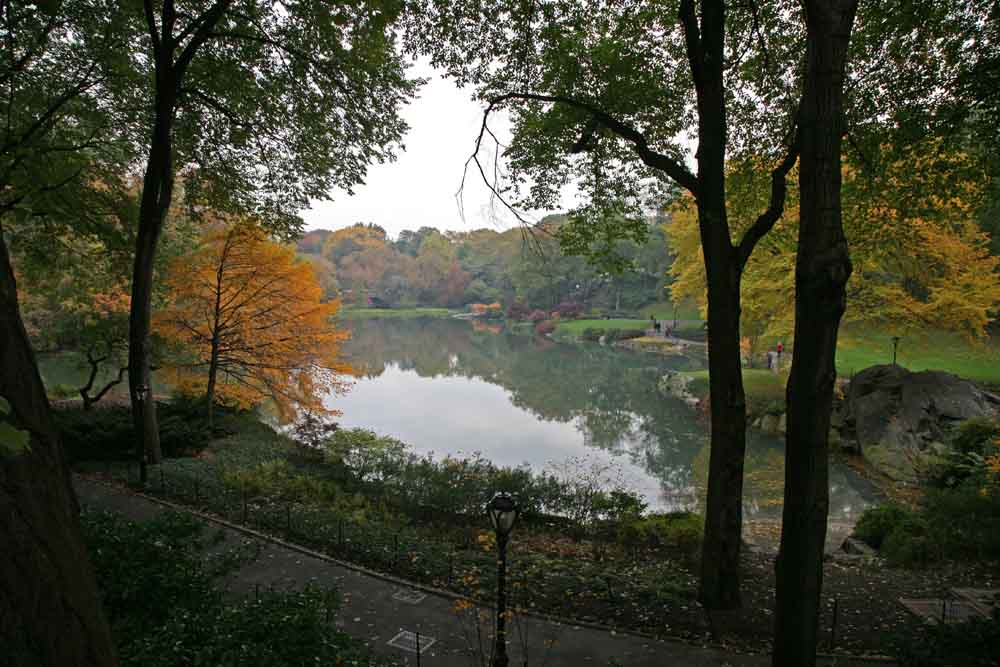 Central Park - The Pond