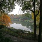 Central Park - The Pond