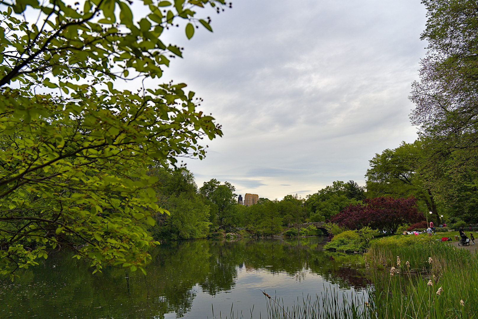 Central Park - The Pond I