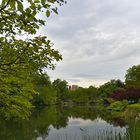 Central Park - The Pond I
