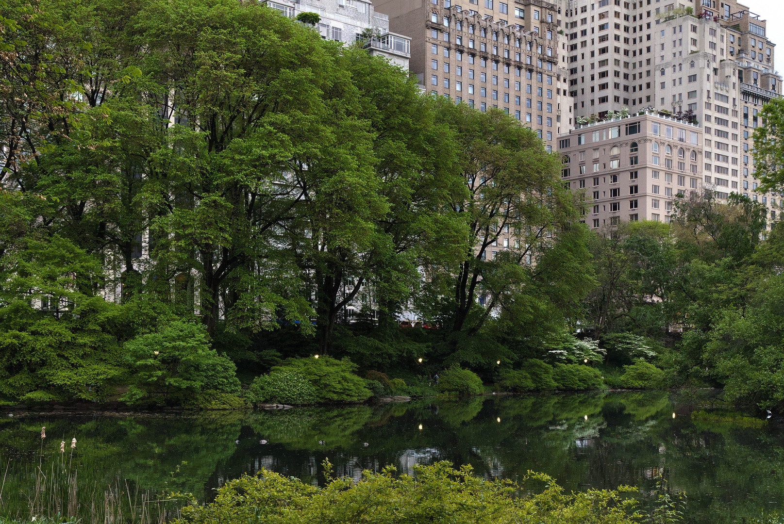 Central Park - The Pond II