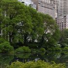 Central Park - The Pond II