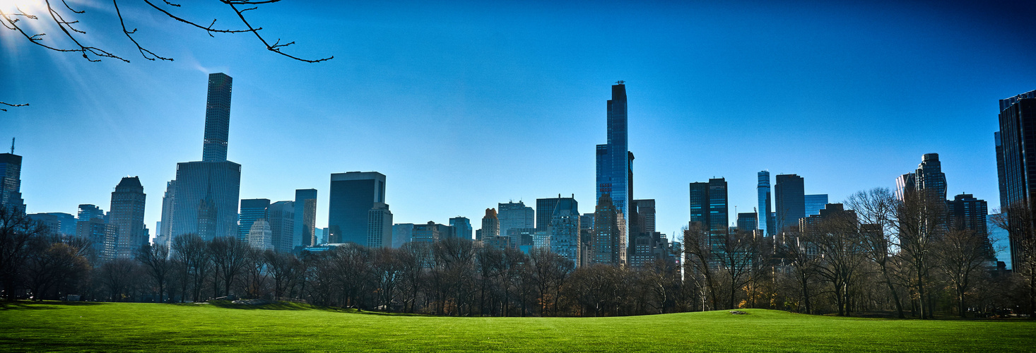 Central Park View