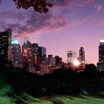 Central Park view