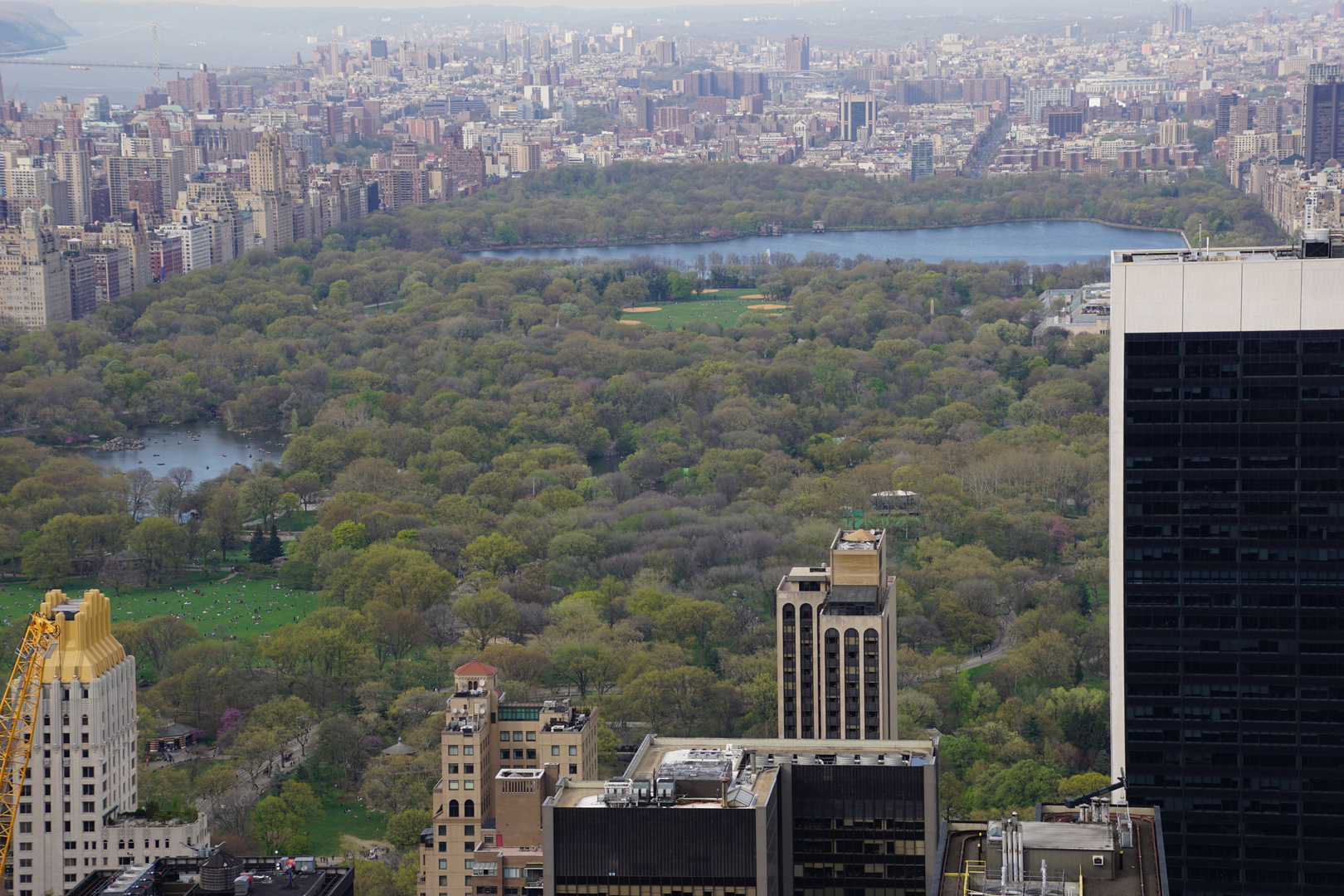 Central Park vom Rockefeller Center aus 259m