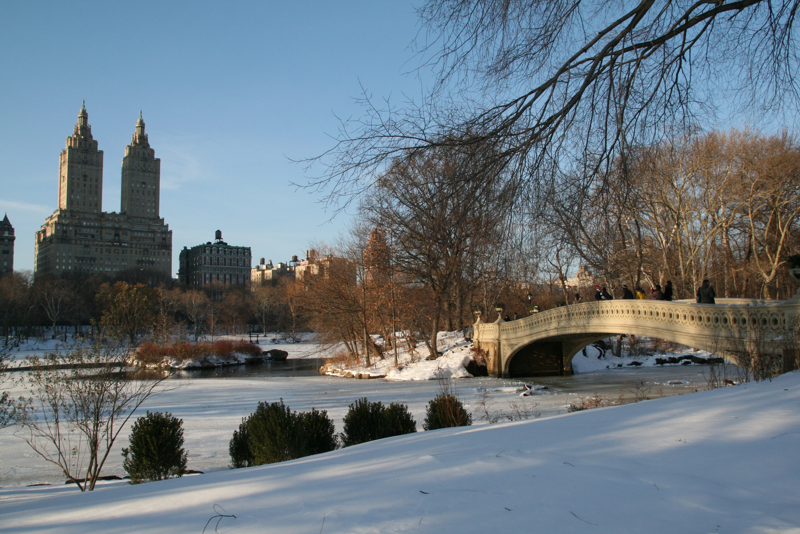 Central Park - Winter Episode