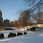 Central Park - Winter Episode