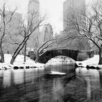 Central Park - Winterlandschaften