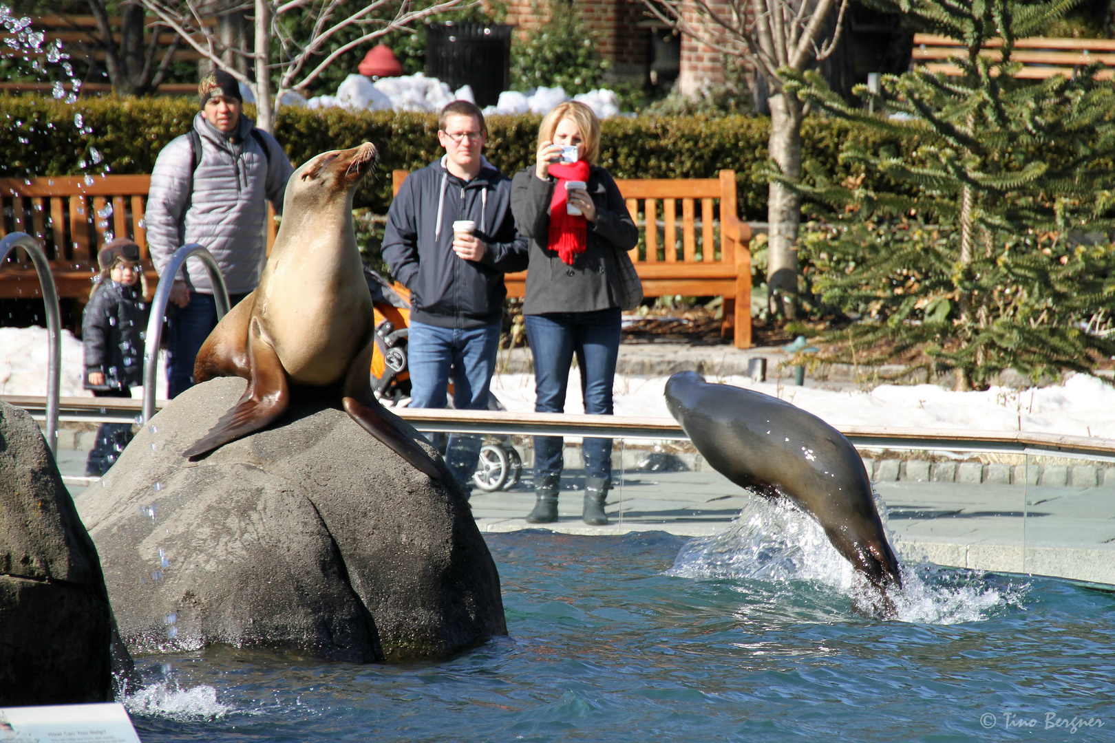 Central Park Zoo