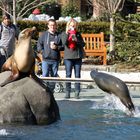 Central Park Zoo