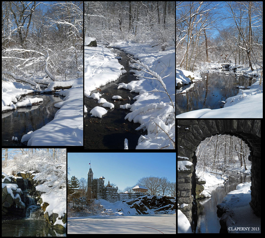 Central Park's Winter Wonderland #2