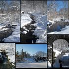 Central Park's Winter Wonderland #2