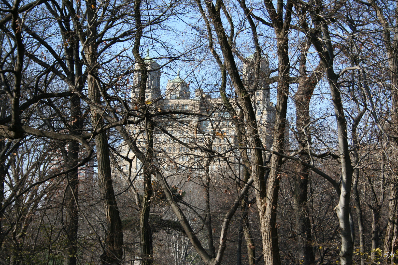 Centralpark