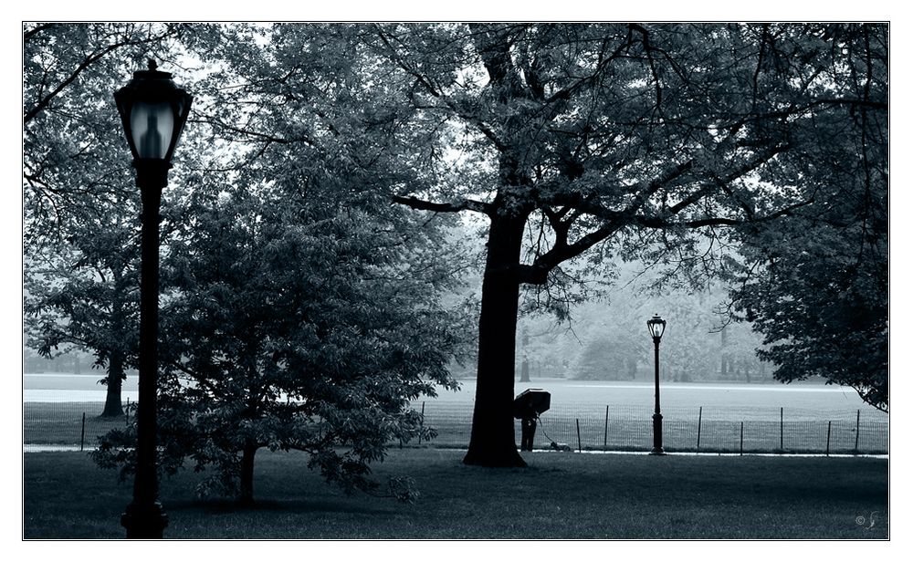 Centralpark im Regen