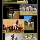 Centre Equestre Traditionnel