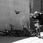 Centre Pompidou, Paris - Alter Mann füttert Tauben