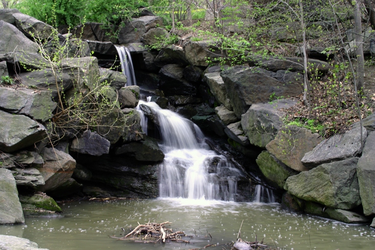 Centrel Park NYC