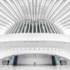 Centro Calatrava
