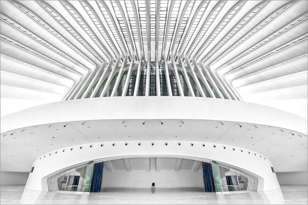 Centro Calatrava