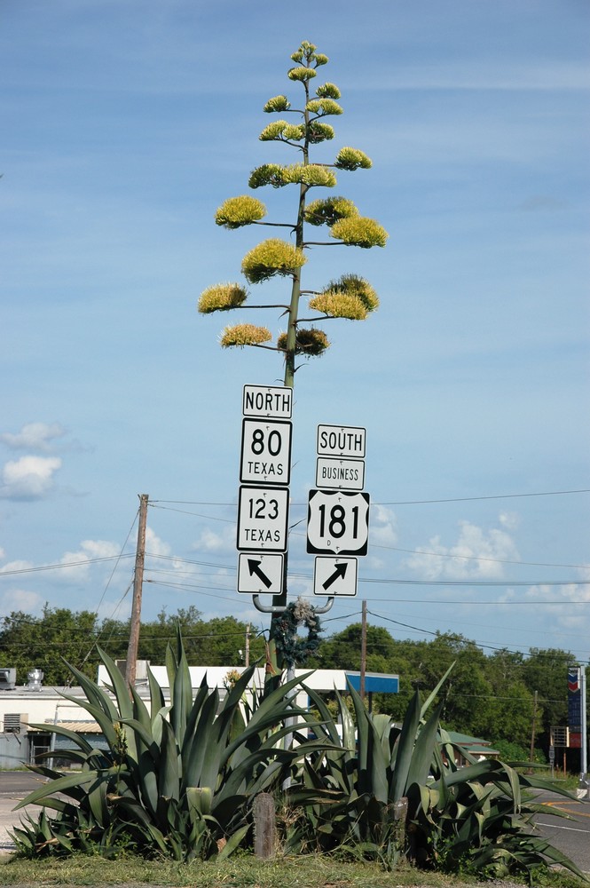 Century Sign