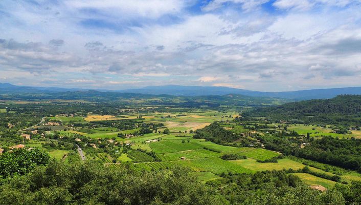 Cépages du Lubéron