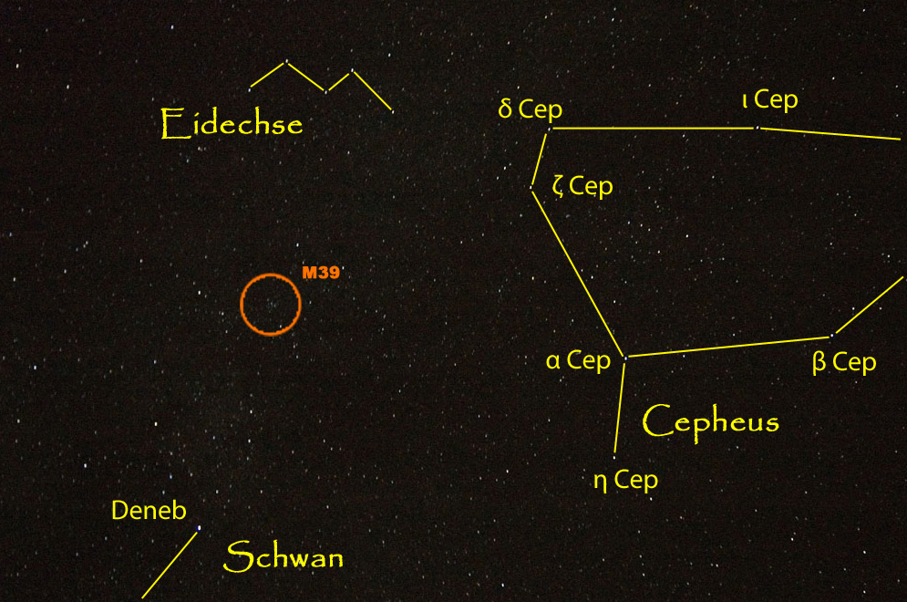 Cepheus