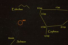 Cepheus