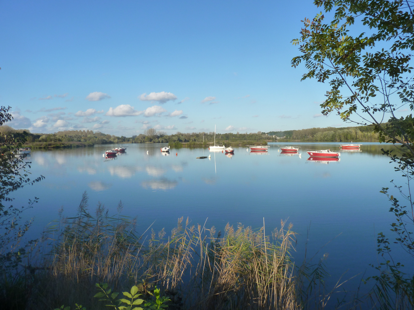 Cepoy, le lac