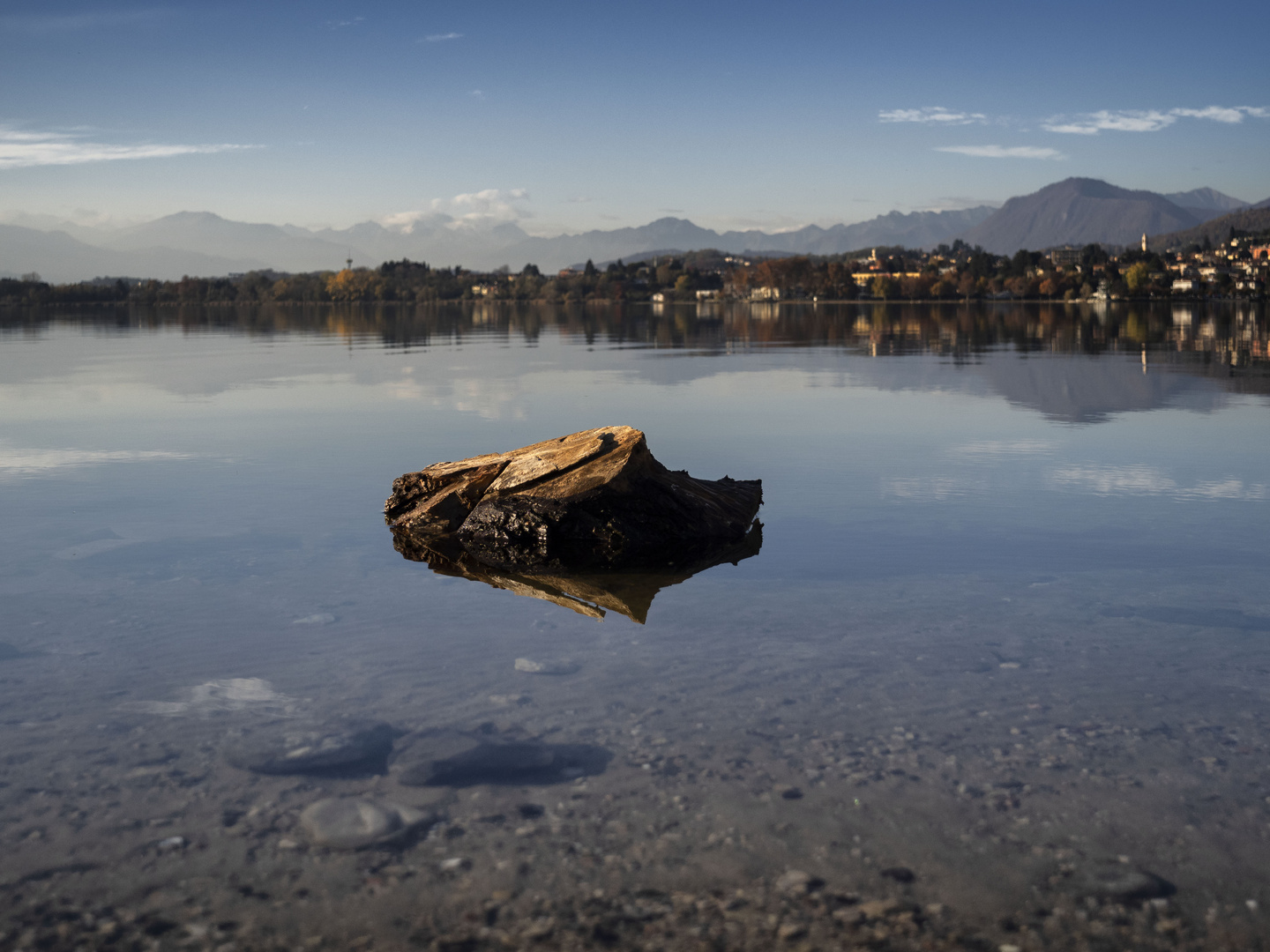 Ceppo nel lago