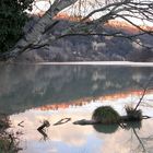 C'era una volta il Tevere