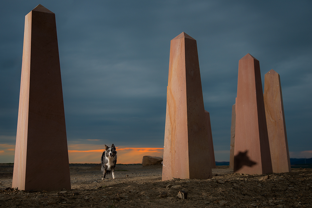 Cerberus, der Höllenhund