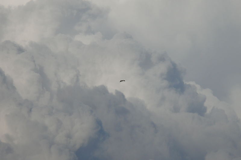 Cerca de la Tormenta