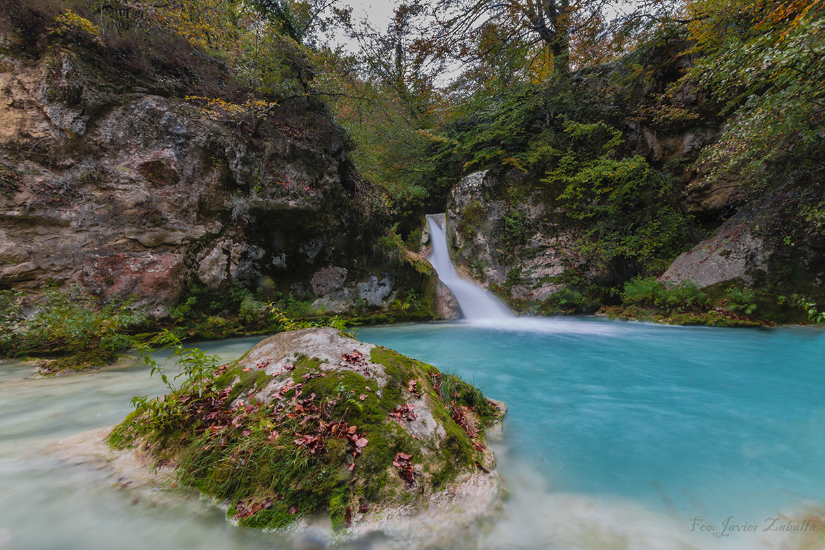 Cerca del Paraiso