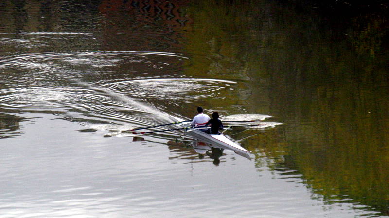 cerchi d'acqua