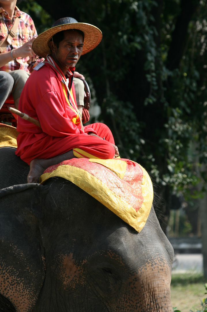 Ceremonial elephant